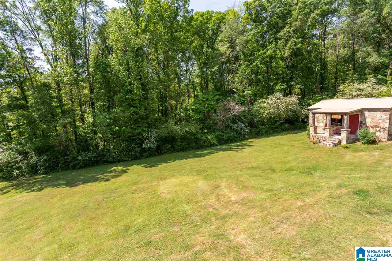 606 Janney Road Ohatchee, AL 36271 - Photo 42 of 50 Gallery Image 42