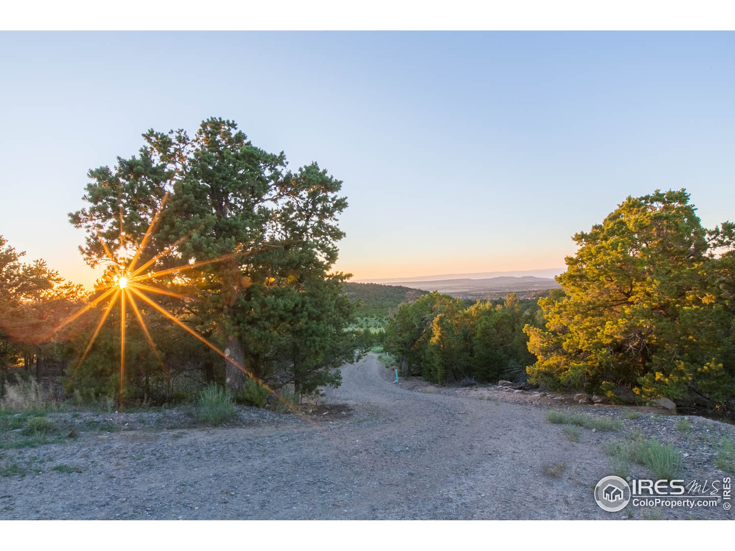 18342 Miller Canyon Ranch Road Glade Park, CO 81523 - Photo 34 of 39