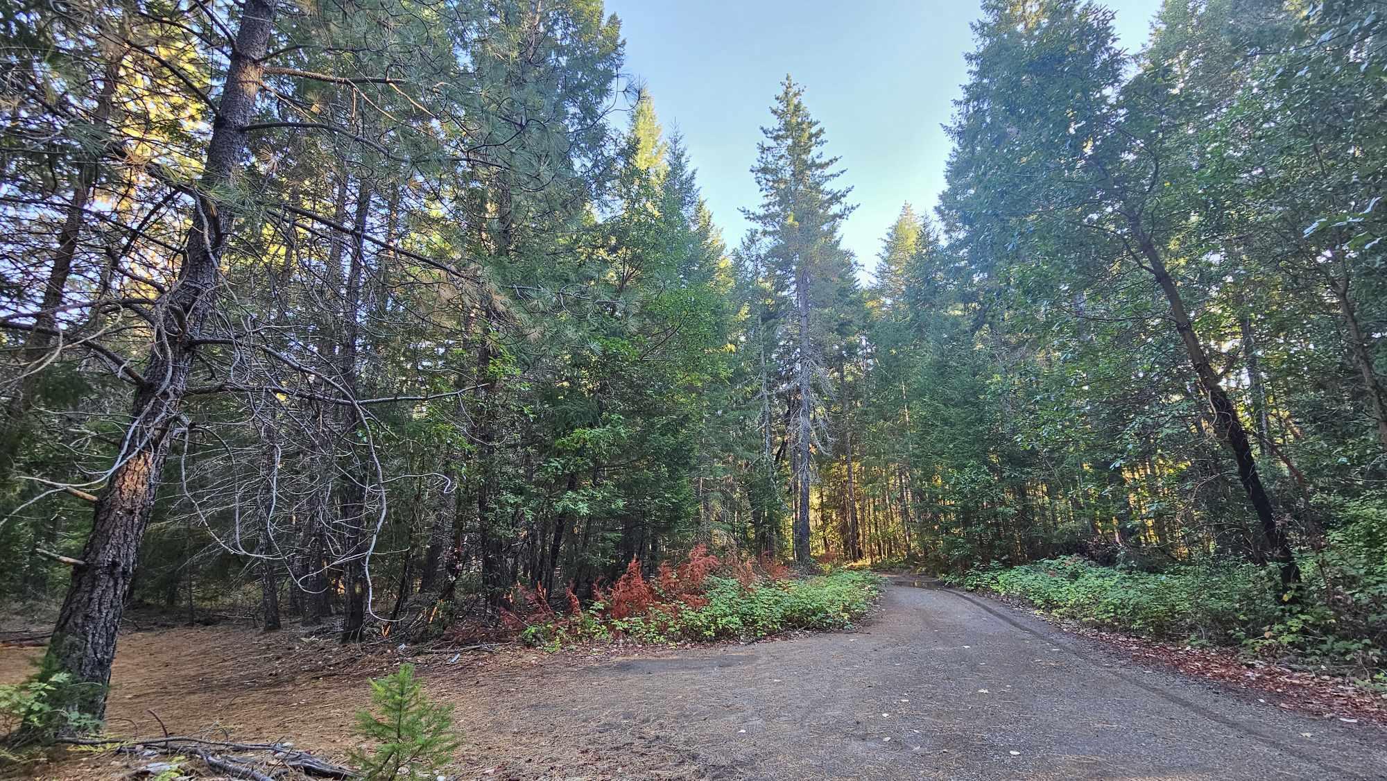 5910 Deer Creek Road Selma, OR 97538 - Photo 12 of 12 5910 5