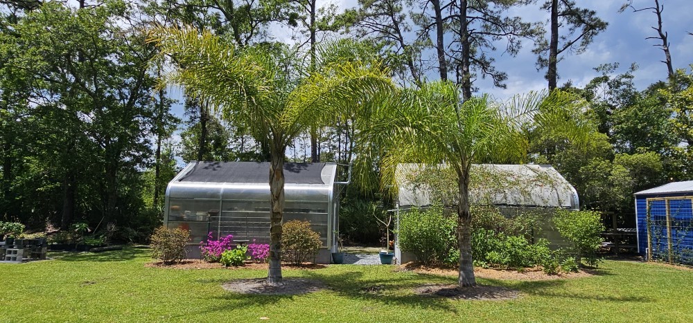 2955 Pinedale Road Fernandina Beach, FL 32034 - Photo 8 of 24 Gallery Image 8