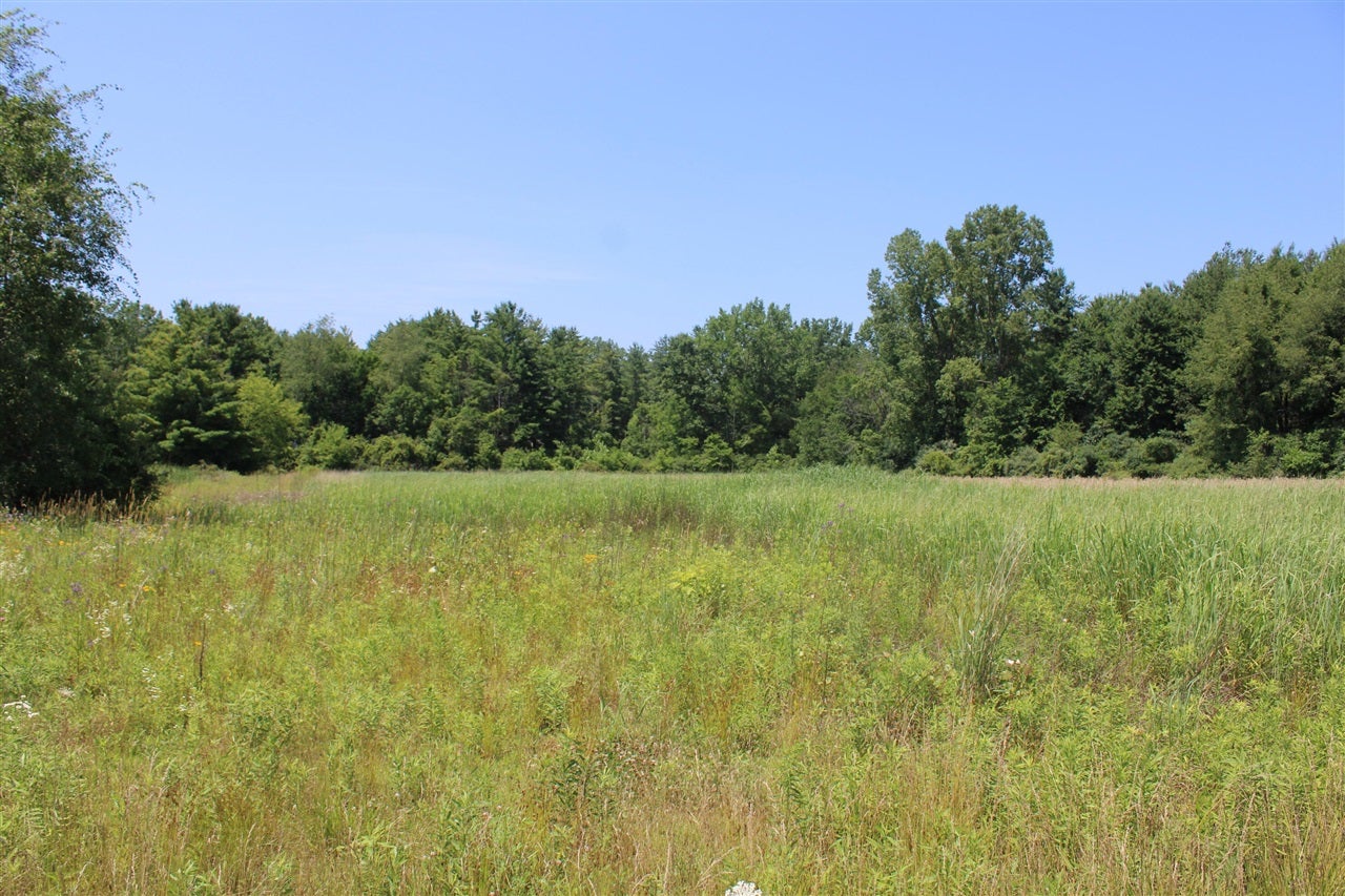 -vl Brown Road Vassar, MI 48768 - Photo 16 of 31 Gallery Image 16