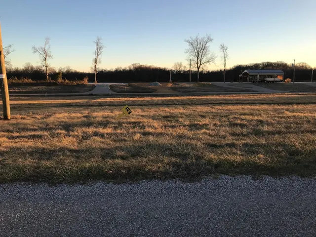 a view of a street with houses