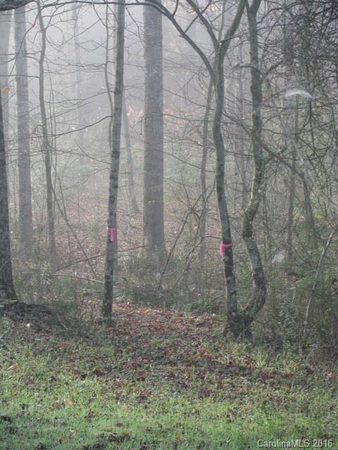 0 Artee Road Shelby, NC 28150 - Photo 3 of 5 a bathroom with a shower