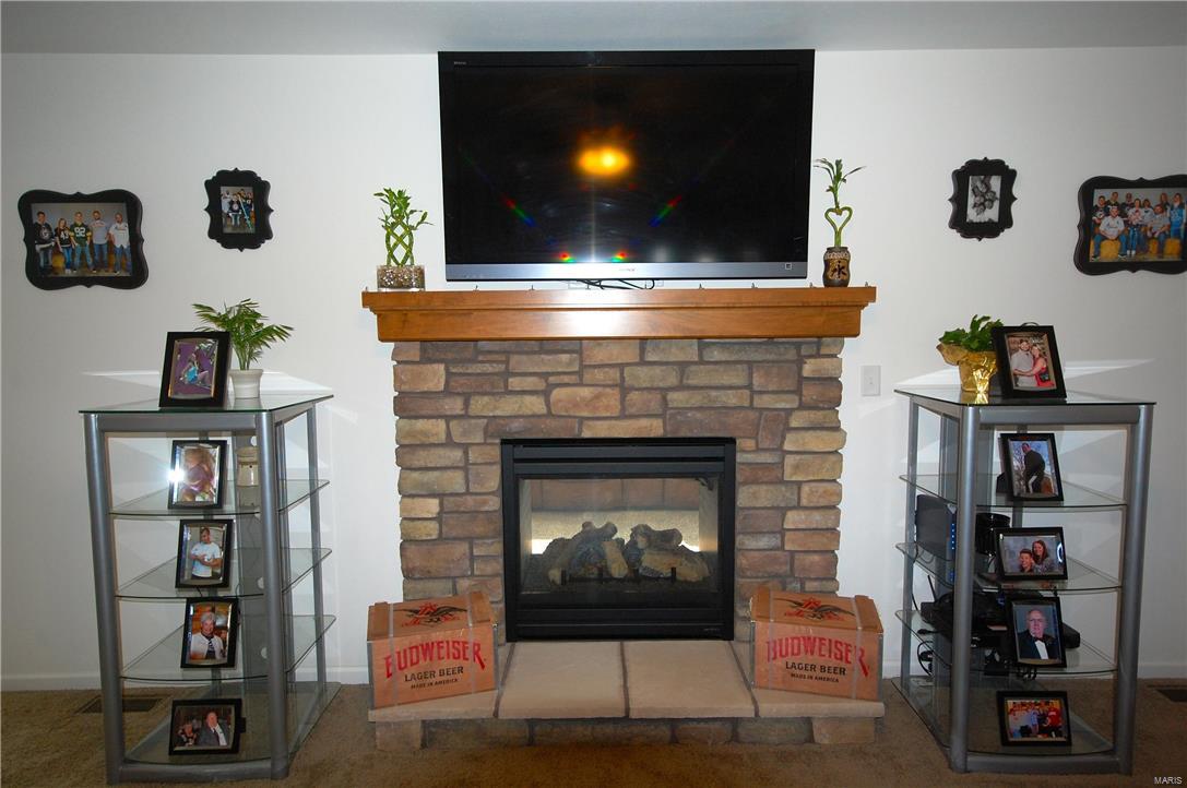 908 Silverview Lane Troy, IL 62294 - Photo 17 of 44 Gallery Image 17