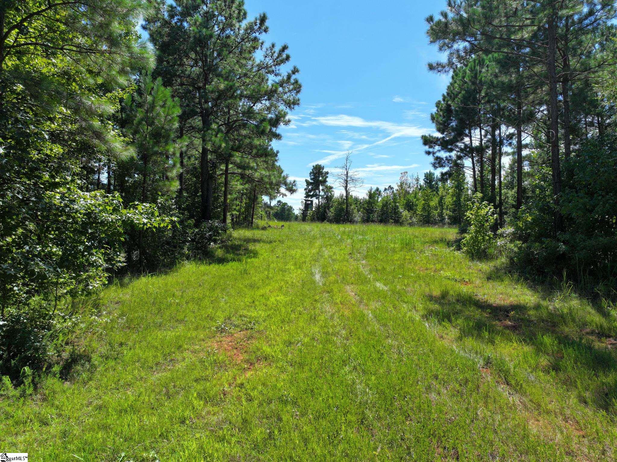 0 Jeter Cemetery Road Union, SC 29379 - Photo 12 of 15 Gallery Image 12