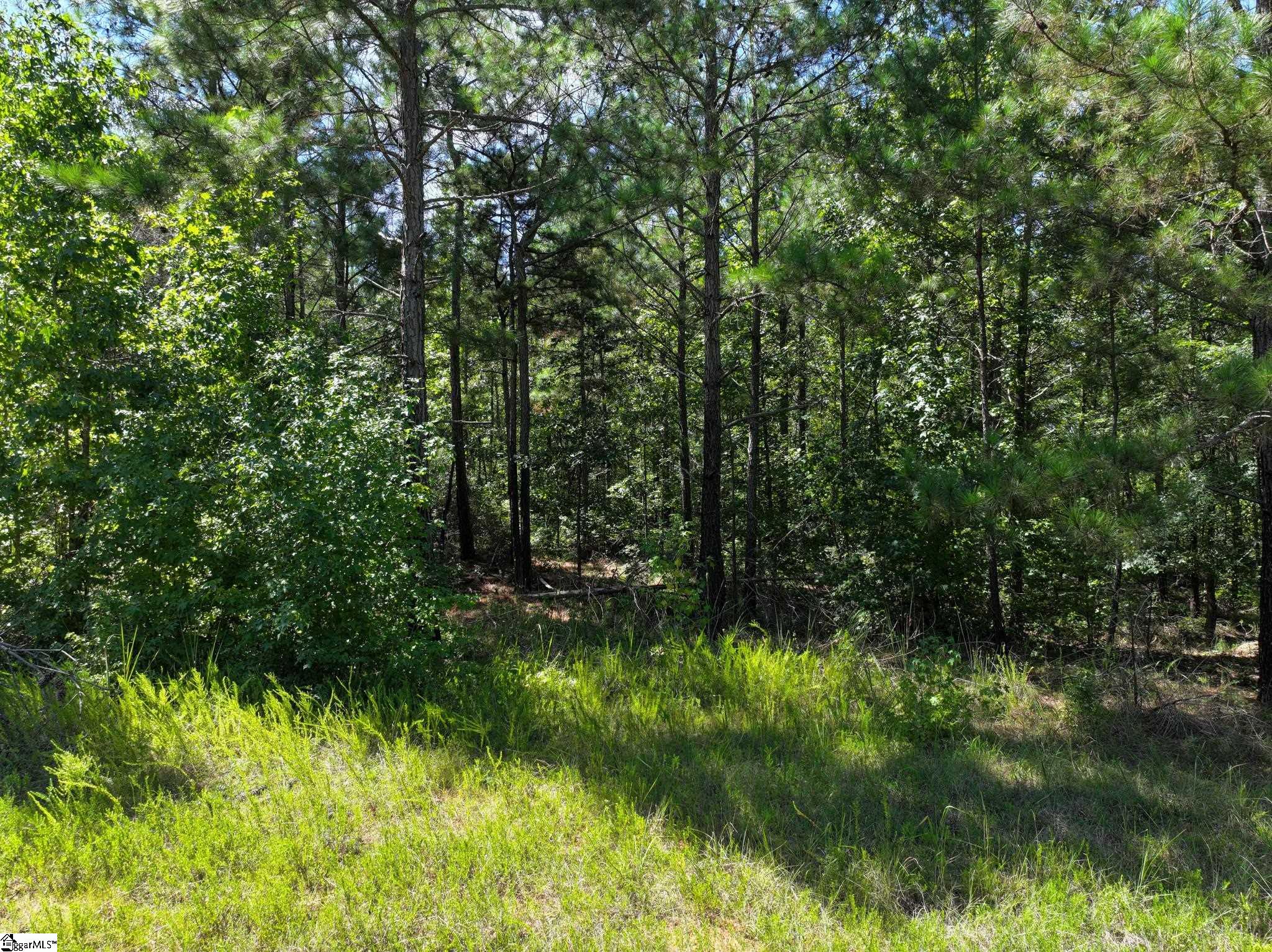 0 Jeter Cemetery Road Union, SC 29379 - Photo 15 of 15 Gallery Image 15