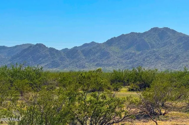 a view of a lush green field with mountains in the background