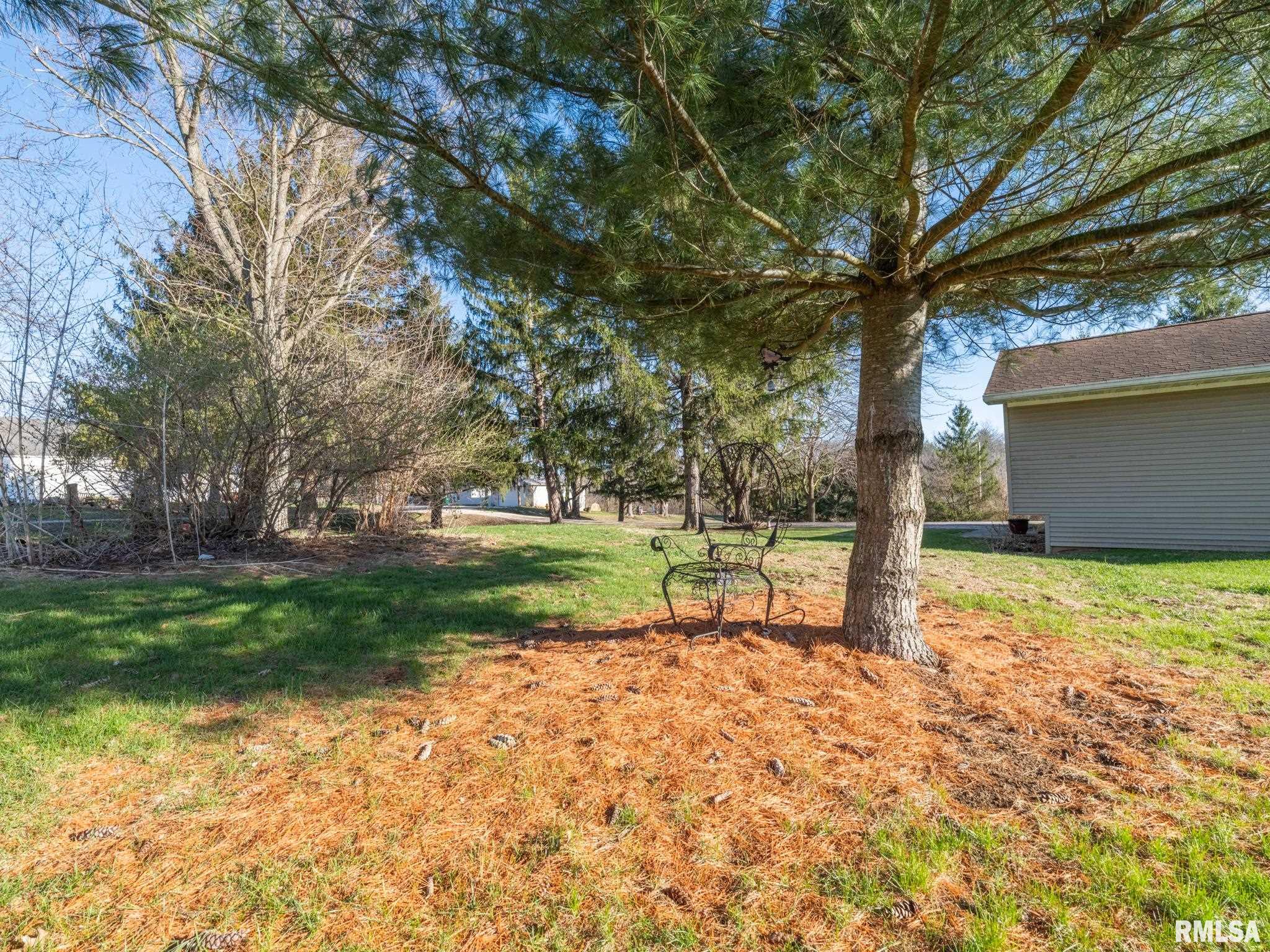 159 South Cedar Street Farmington, IL 61531 - Photo 11 of 56