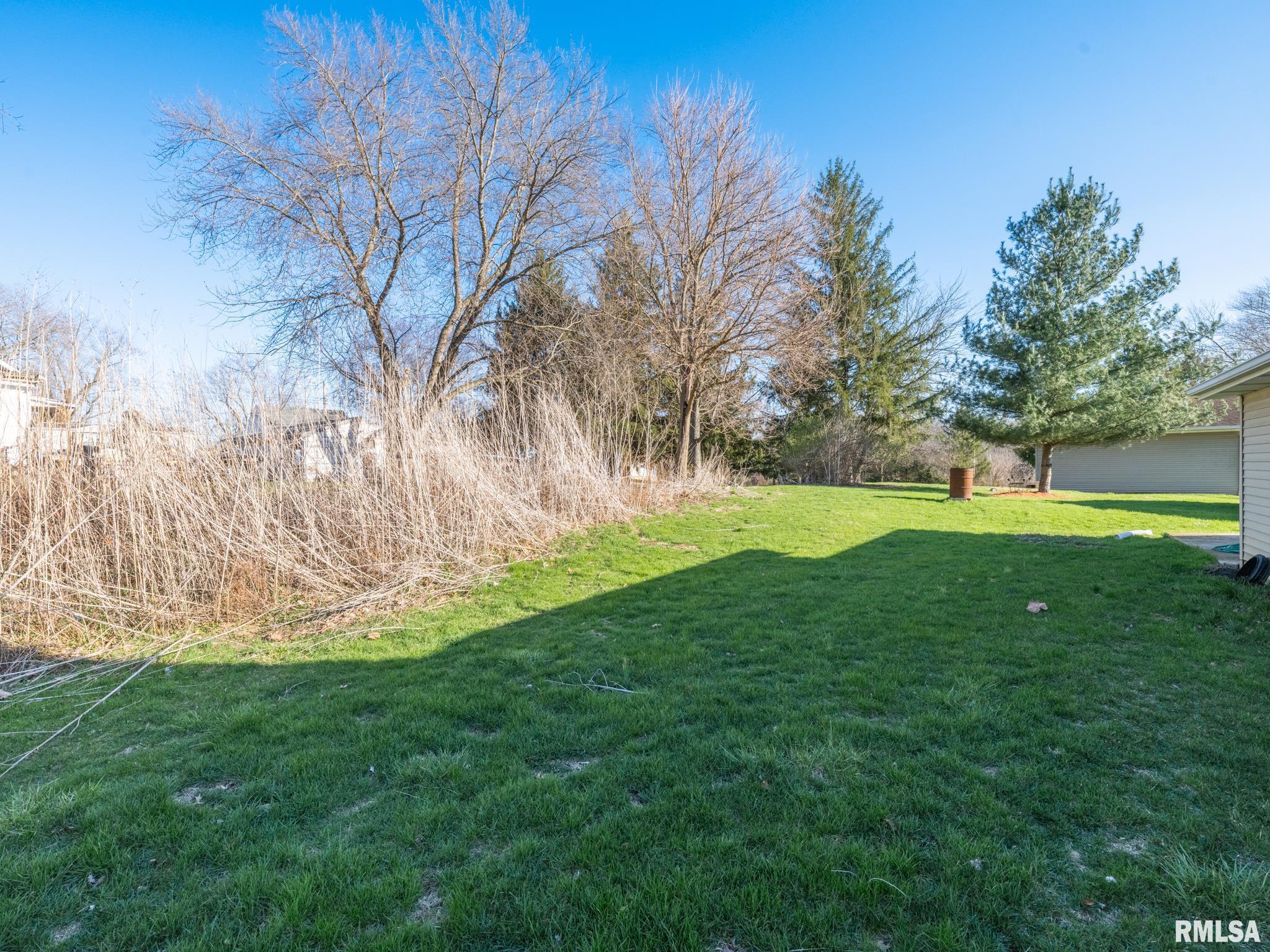 159 South Cedar Street Farmington, IL 61531 - Photo 12 of 56