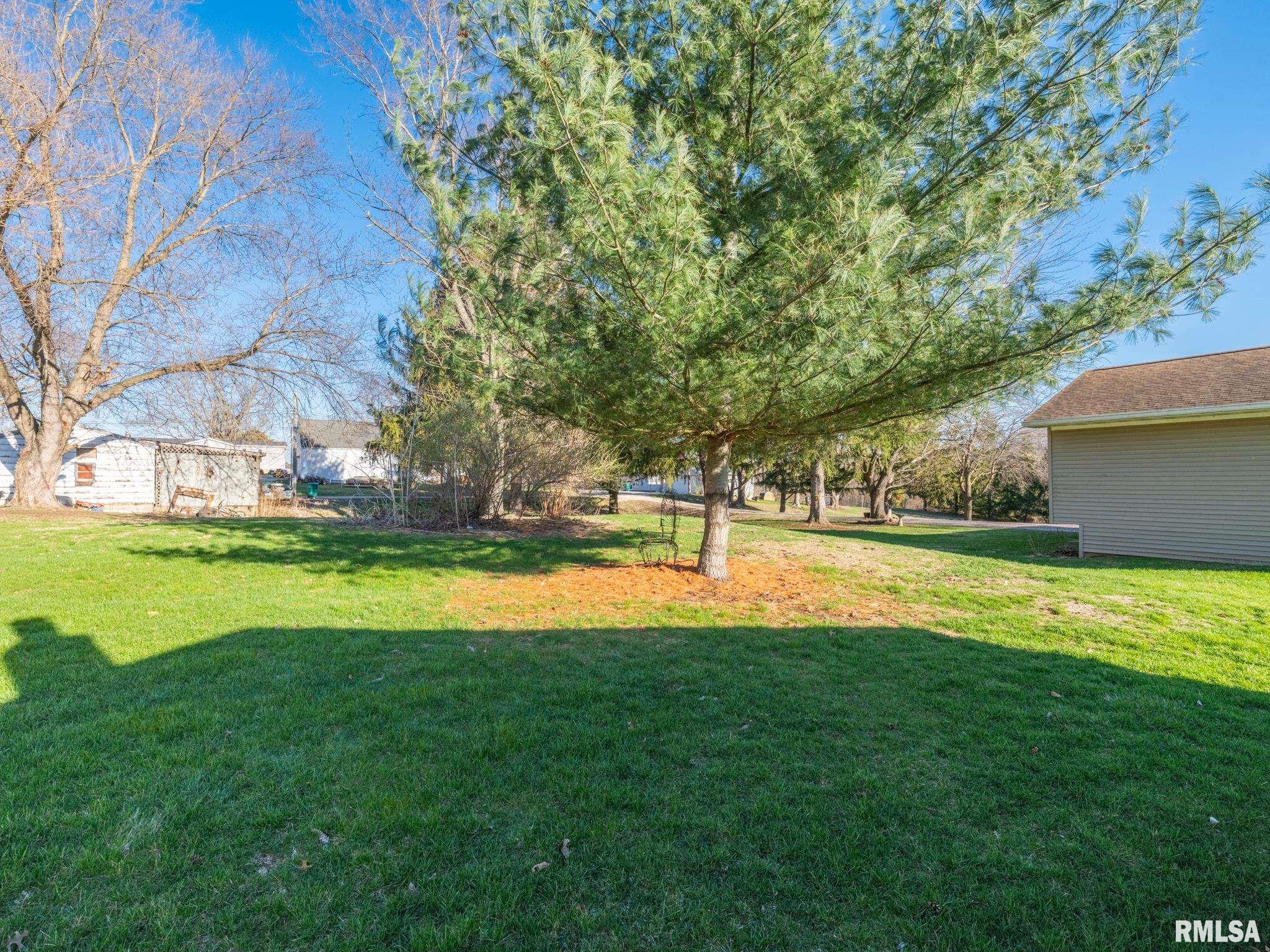 159 South Cedar Street Farmington, IL 61531 - Photo 10 of 56