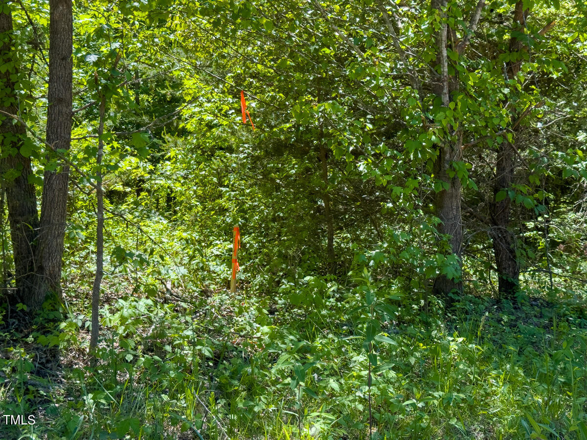 Lot-4-00 Wilson Road Providence, NC 27315 - Photo 11 of 38 Caswell Co. NC -Wilsons Ridge-Lot 4-11