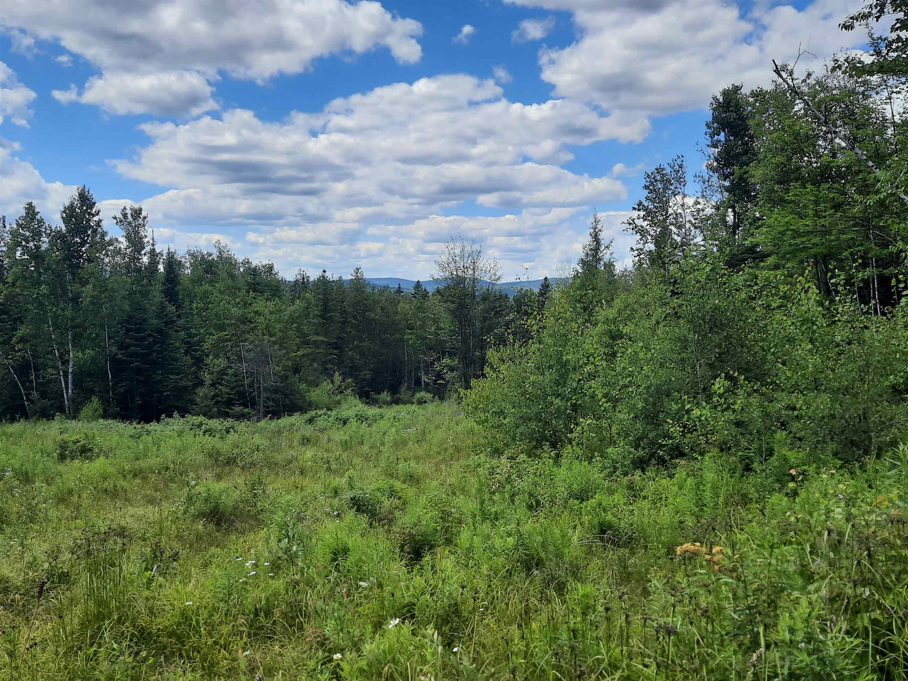 695 Piper Hill Road Stewartstown, NH 03576 - Photo 11 of 18