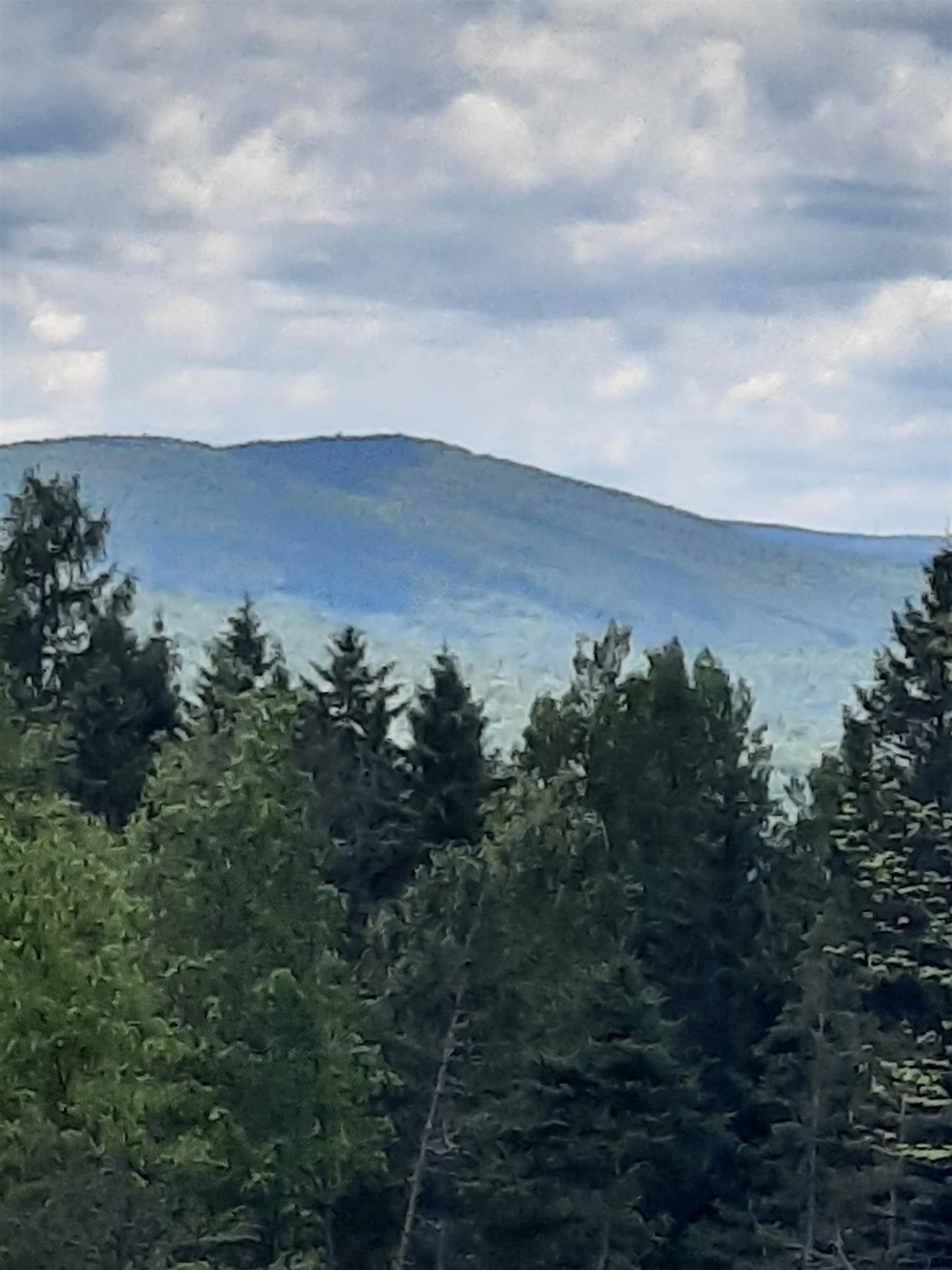695 Piper Hill Road Stewartstown, NH 03576 - Photo 17 of 18