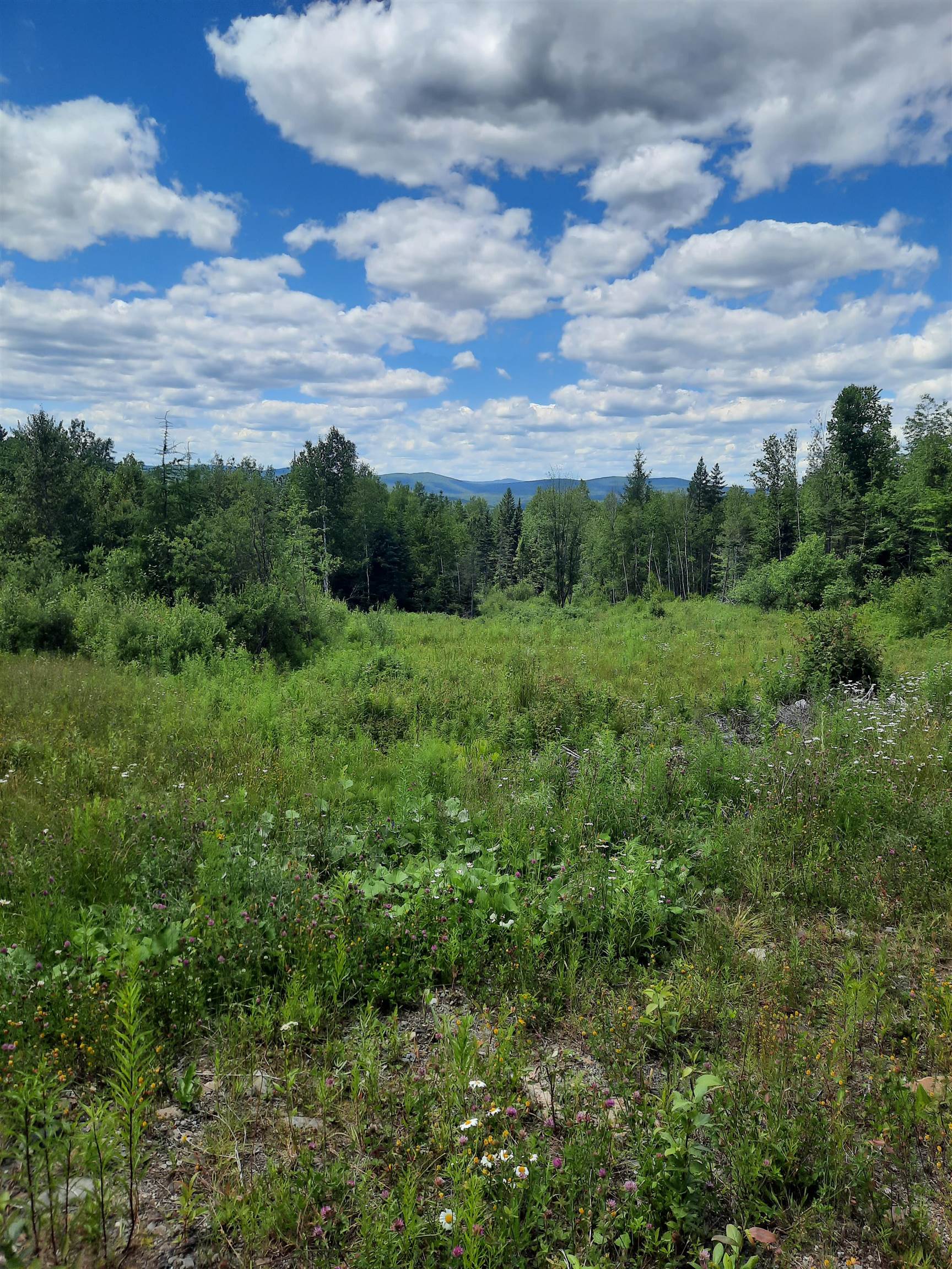 695 Piper Hill Road Stewartstown, NH 03576 - Photo 2 of 18