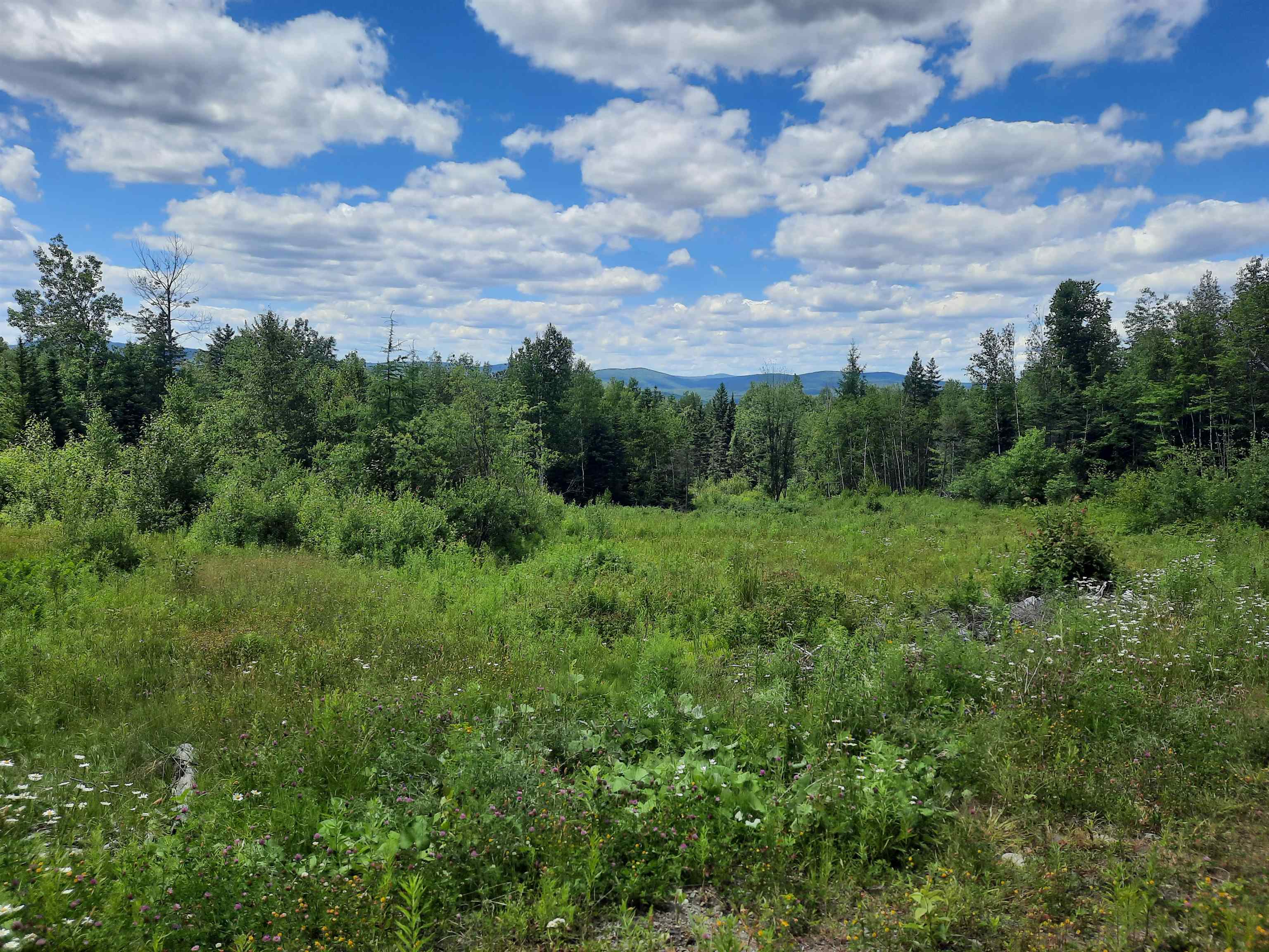 695 Piper Hill Road Stewartstown, NH 03576 - Photo 3 of 18