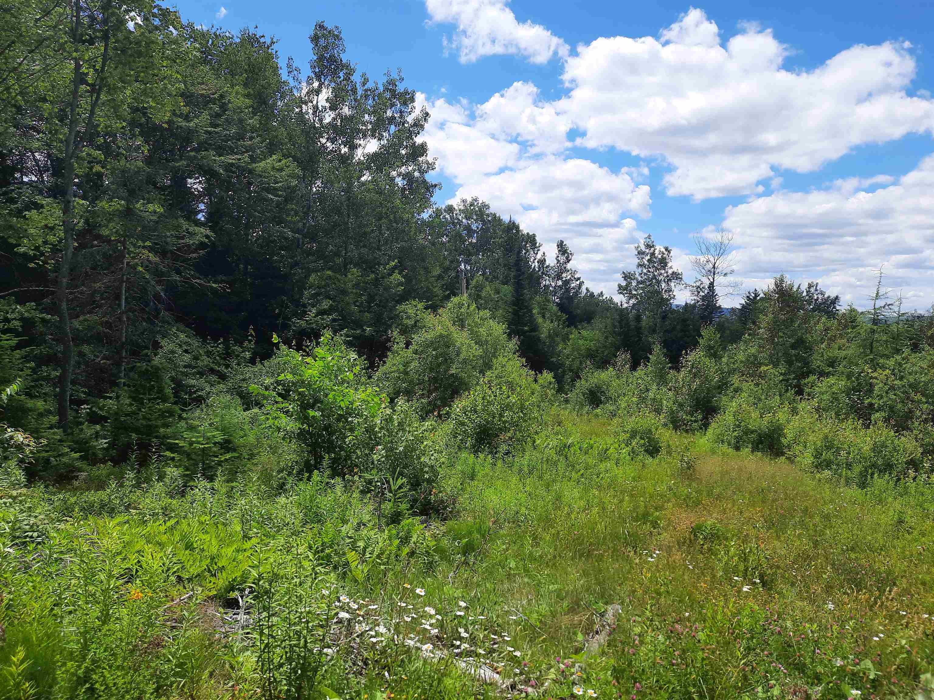 695 Piper Hill Road Stewartstown, NH 03576 - Photo 4 of 18