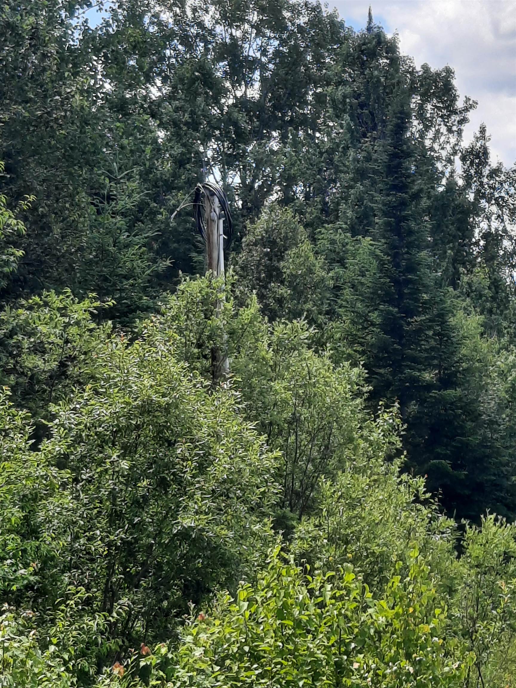 695 Piper Hill Road Stewartstown, NH 03576 - Photo 5 of 18