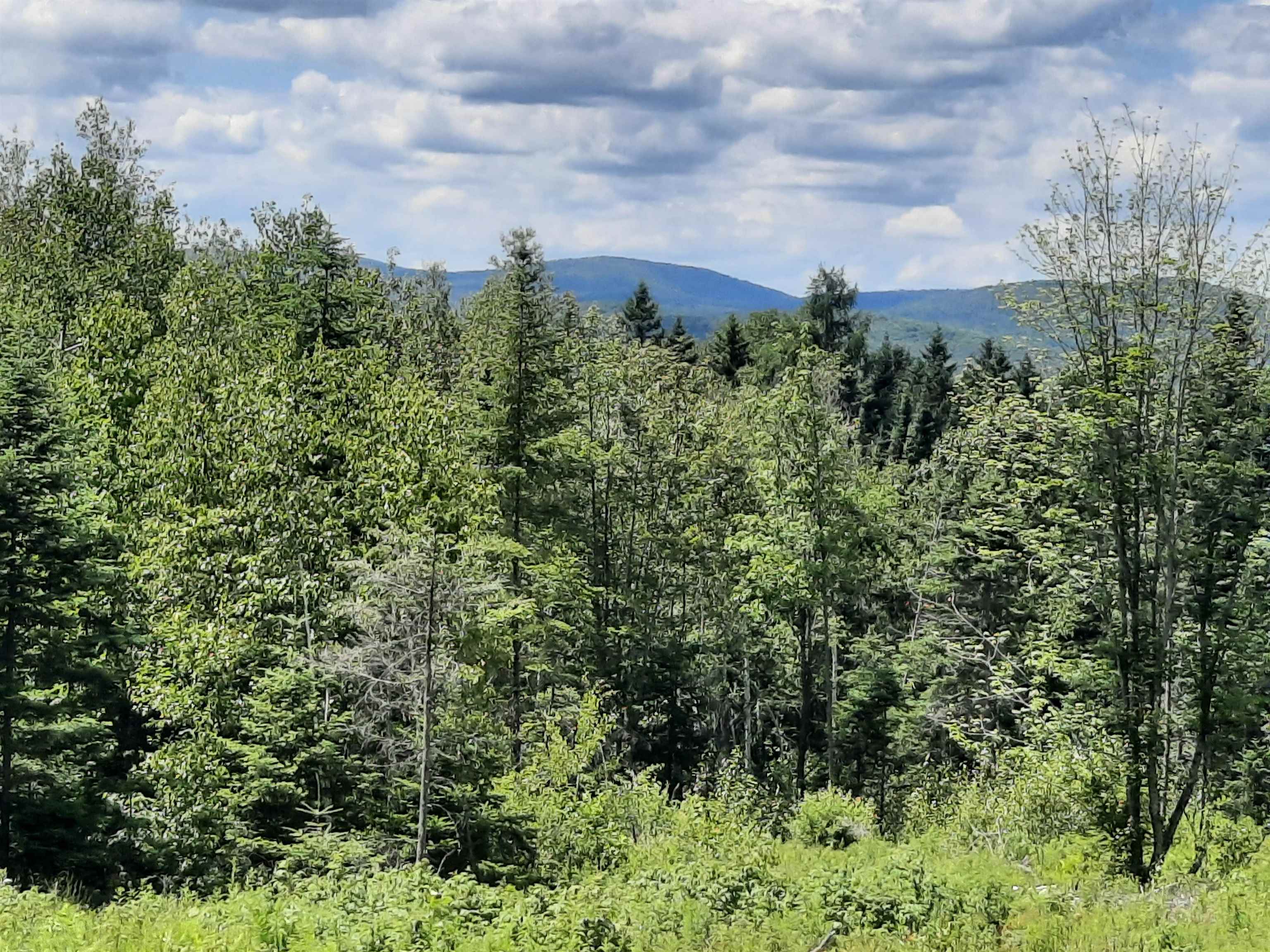 695 Piper Hill Road Stewartstown, NH 03576 - Photo 6 of 18