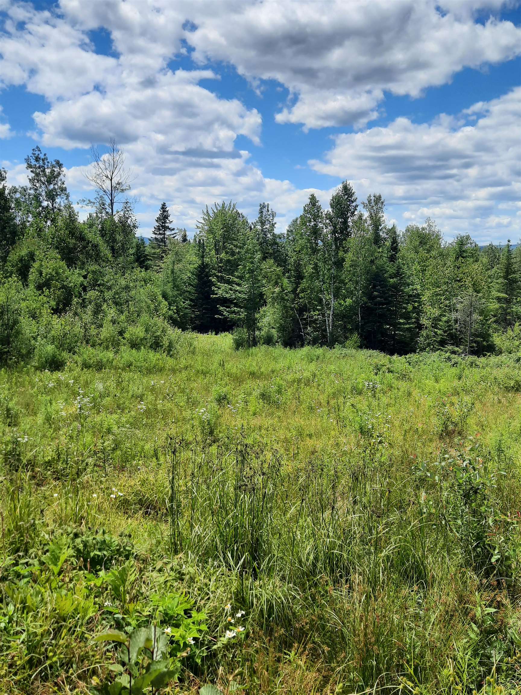 695 Piper Hill Road Stewartstown, NH 03576 - Photo 8 of 18