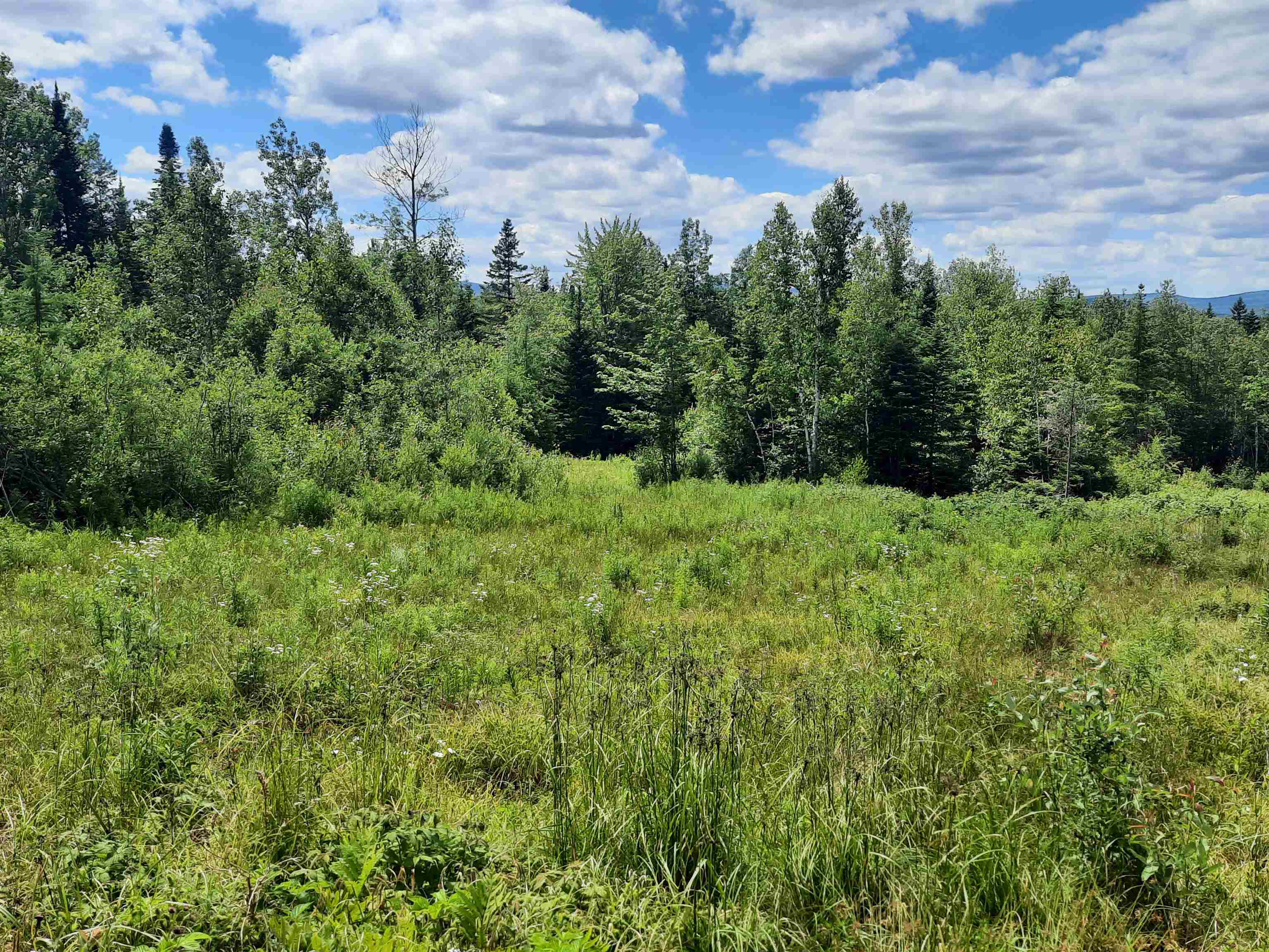 695 Piper Hill Road Stewartstown, NH 03576 - Photo 9 of 18