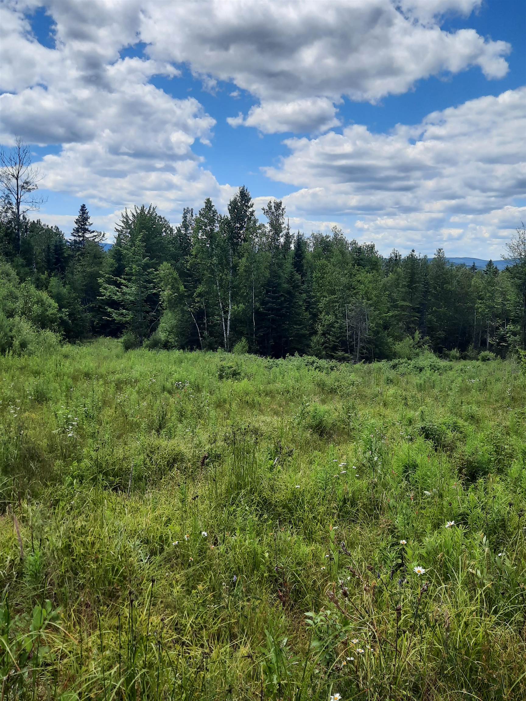 695 Piper Hill Road Stewartstown, NH 03576 - Photo 10 of 18