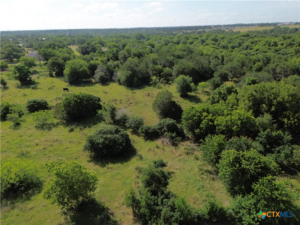 Tbd Lot 6 West Tbd Road Salado, TX 76571 - Photo 8 of 15
