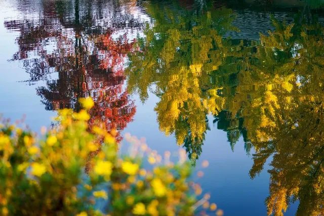 a view of water heater