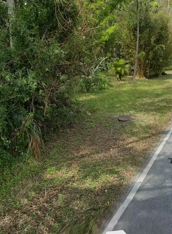 a view of a yard with an trees