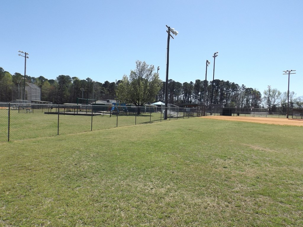 Tbd Branchview Drive Manning, SC 29102 - Photo 5 of 6