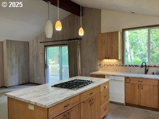 14037 Southeast Rust Way Damascus, OR 97089 - Photo 11 of 22 Kitchen/Family Room