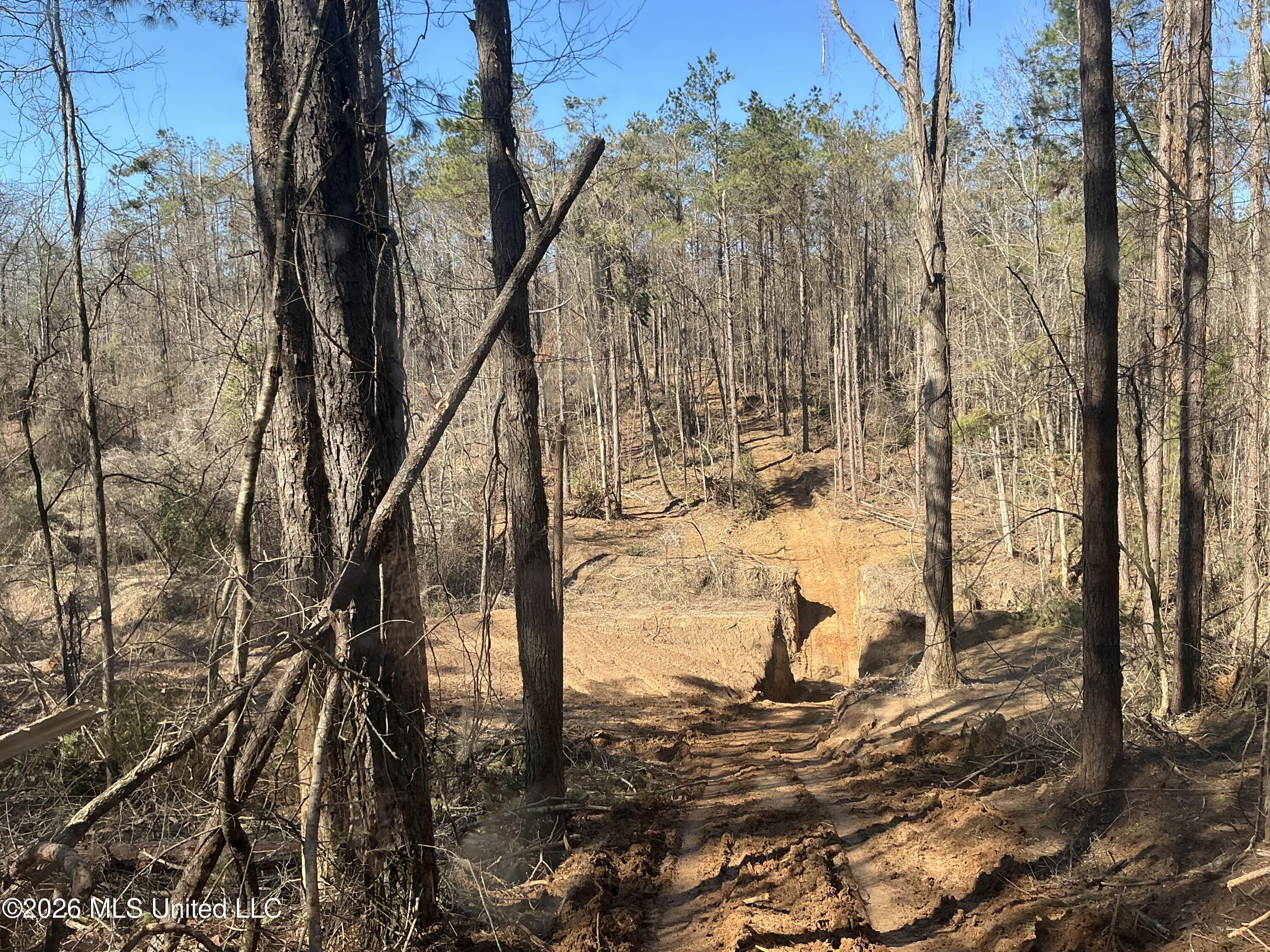 Norwood Road Carrollton, MS 38917 - Photo 19 of 28 IMG_0662