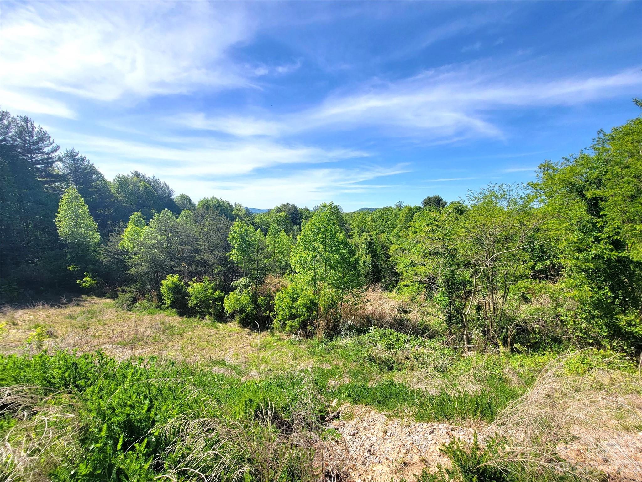 99999 Airport Road Arden, NC 28704 - Photo 3 of 6