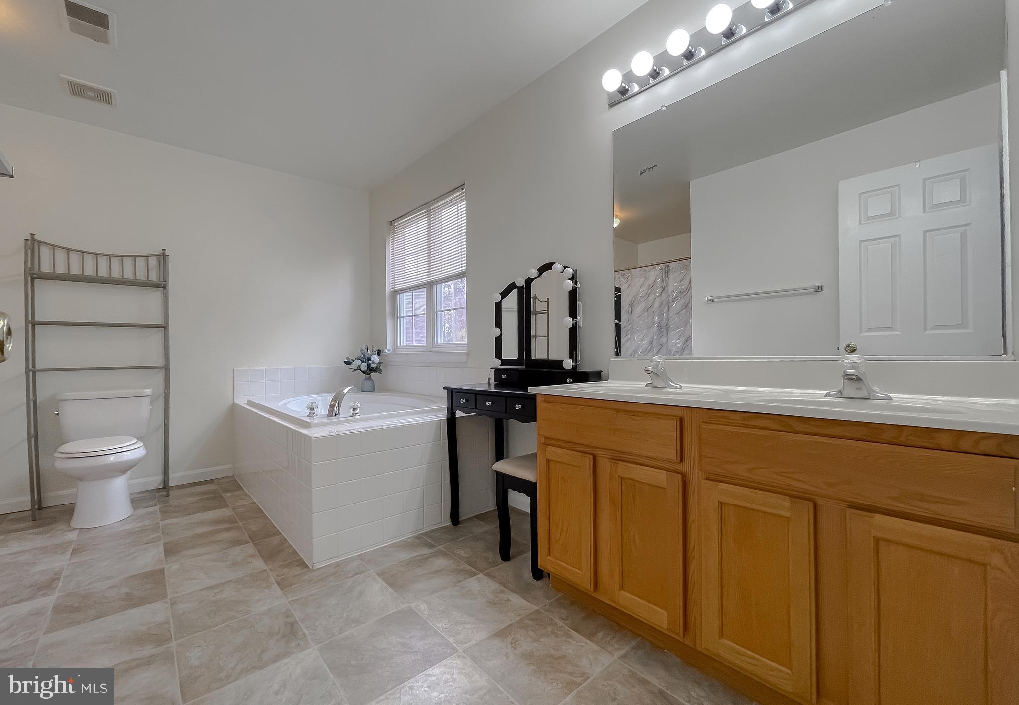 47162 Green Leaf Road Lexington Park, MD 20653 - Photo 29 of 50 a bathroom with a double vanity sink mirror and toilet
