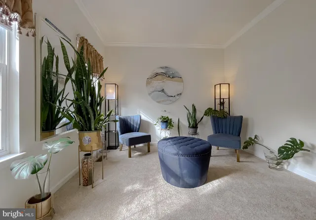 a living room with furniture a potted plant and a window