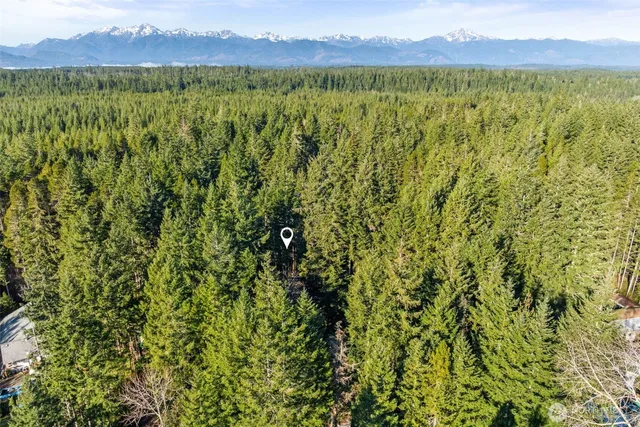 a view of lake and mountain