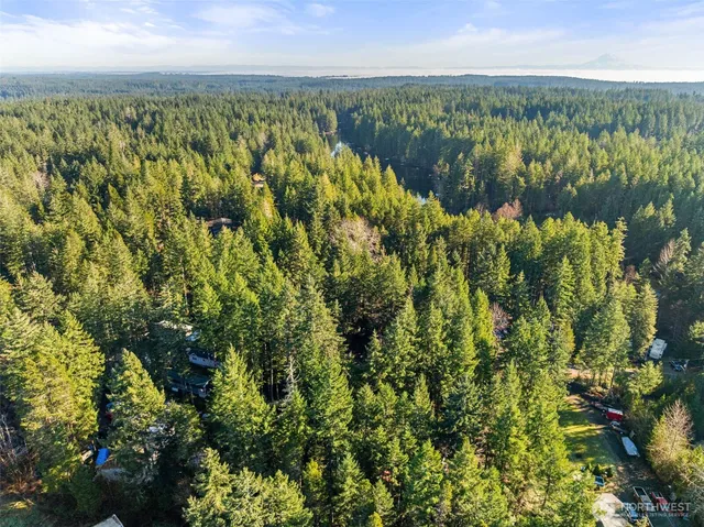 a view of a lake with a city