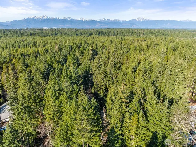 a view of a lush green hillside and a lake view