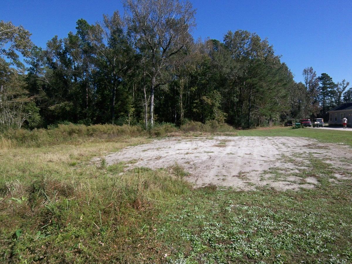 131 Hill Branch Road Ridgeville, SC 29472 - Photo 1 of 3 Partially Cleard