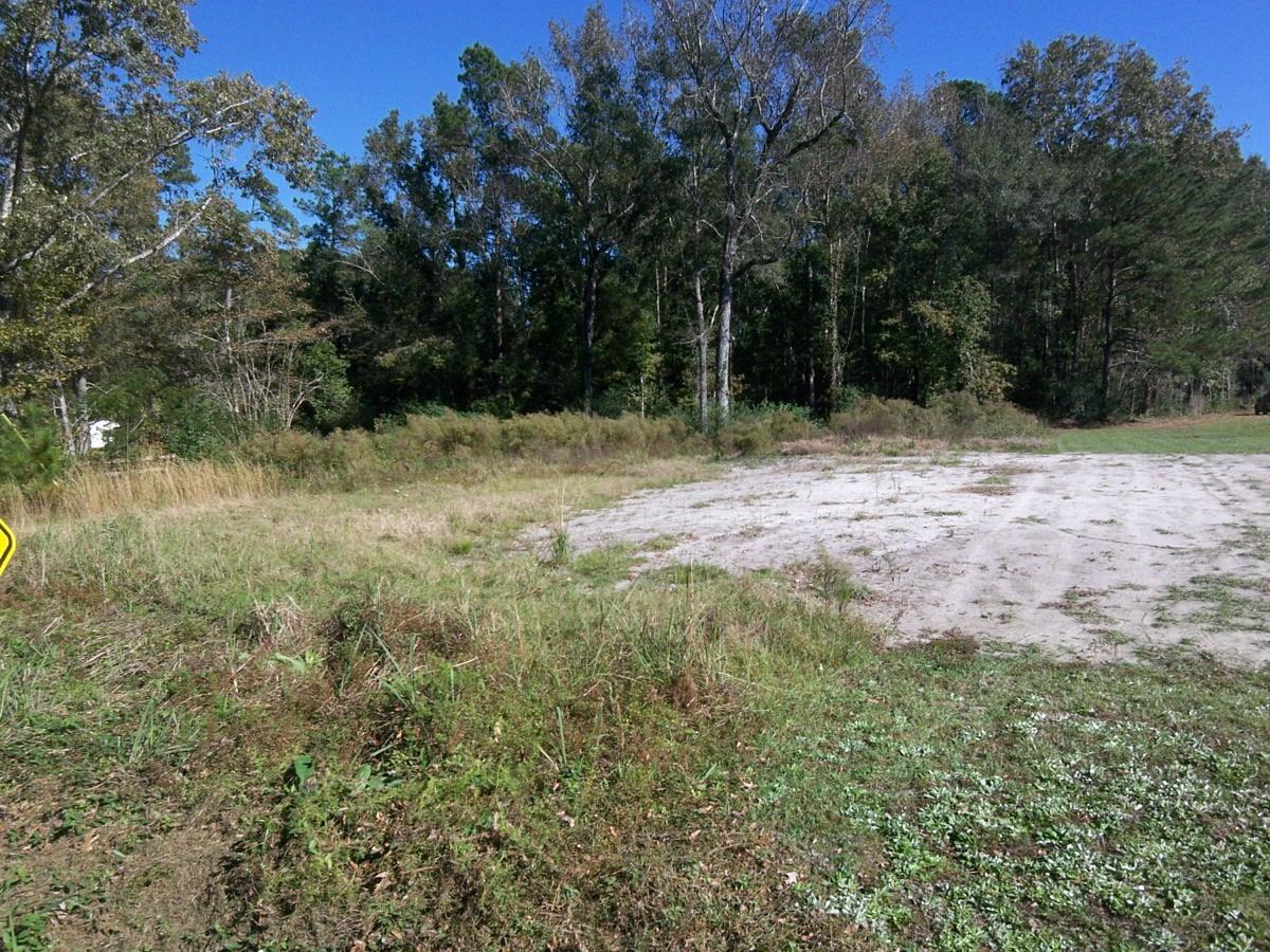 131 Hill Branch Road Ridgeville, SC 29472 - Photo 2 of 3 Septic already insatlled