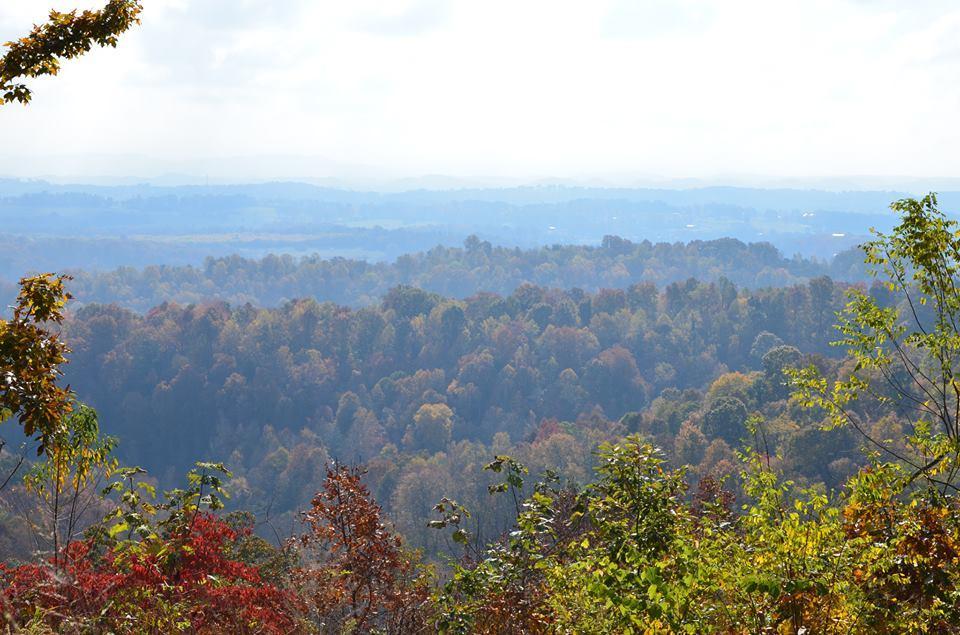 PROPERTY VIEW #2 (1)