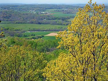 PROPERTY VIEW #5 (1)