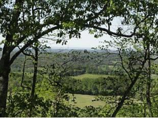 PROPERTY VIEW #4 (1)