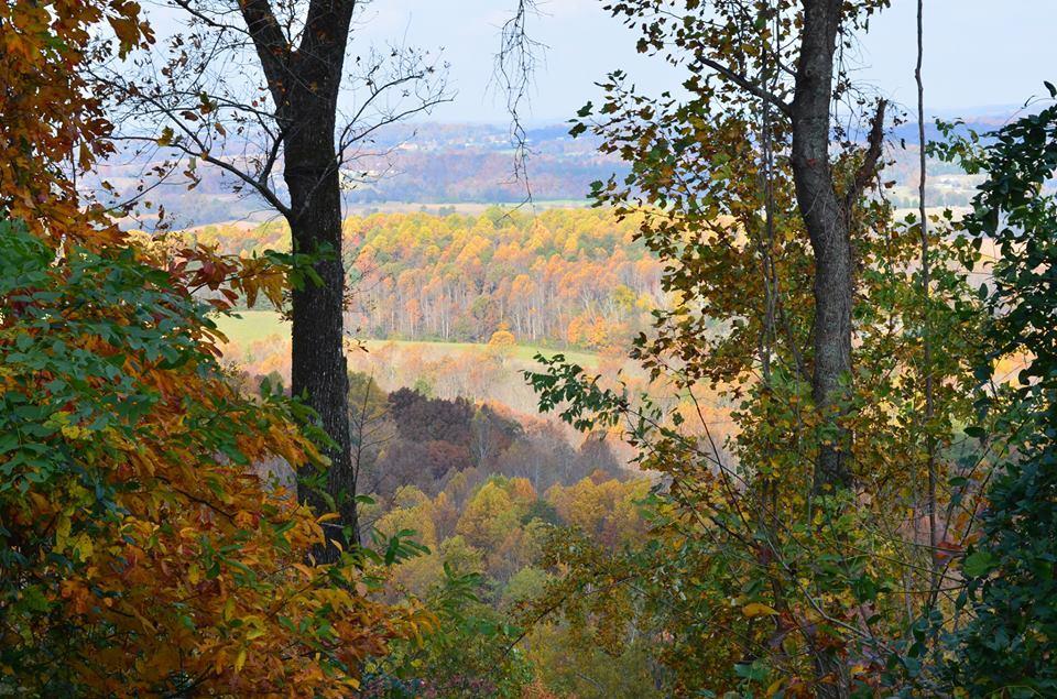 PROPERTY VIEW #1 (1)