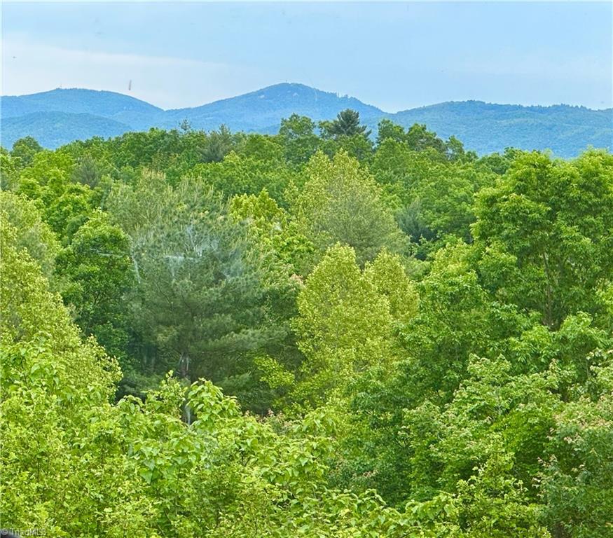 405 Sweetwater Road Boomer, NC 28606 - Photo 2 of 13 View from loft