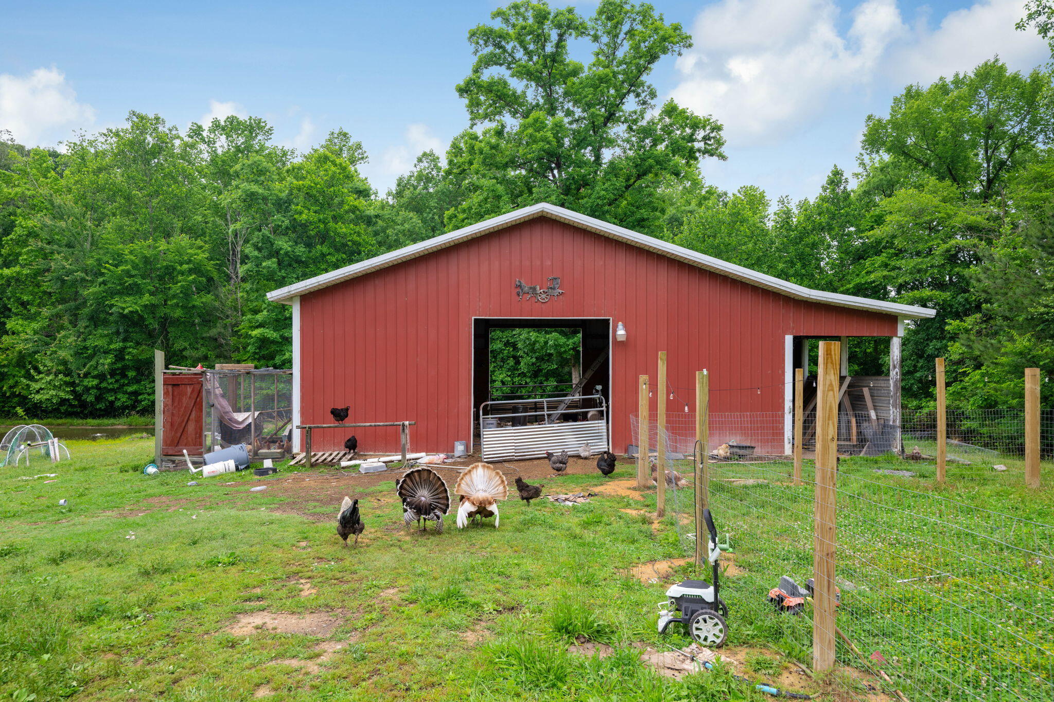 1110 Boanerges Church Road Old Fort, TN 37362 - Photo 31 of 37 40-web-or-mls-DSC_3757