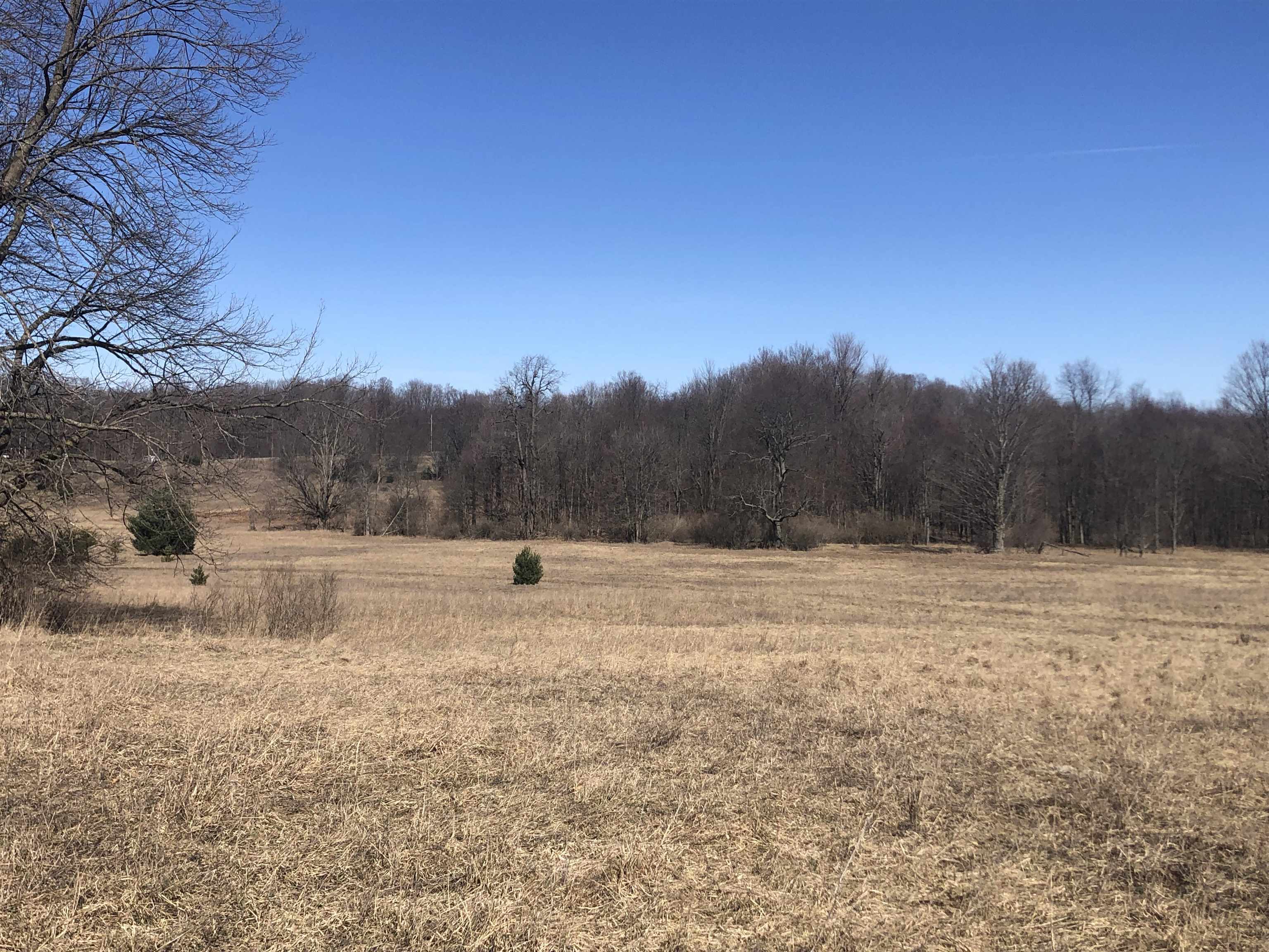 9 South 9 Mile Road Copemish, MI 49625 - Photo 27 of 35
