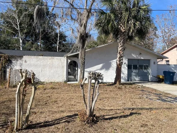 a view of a backyard