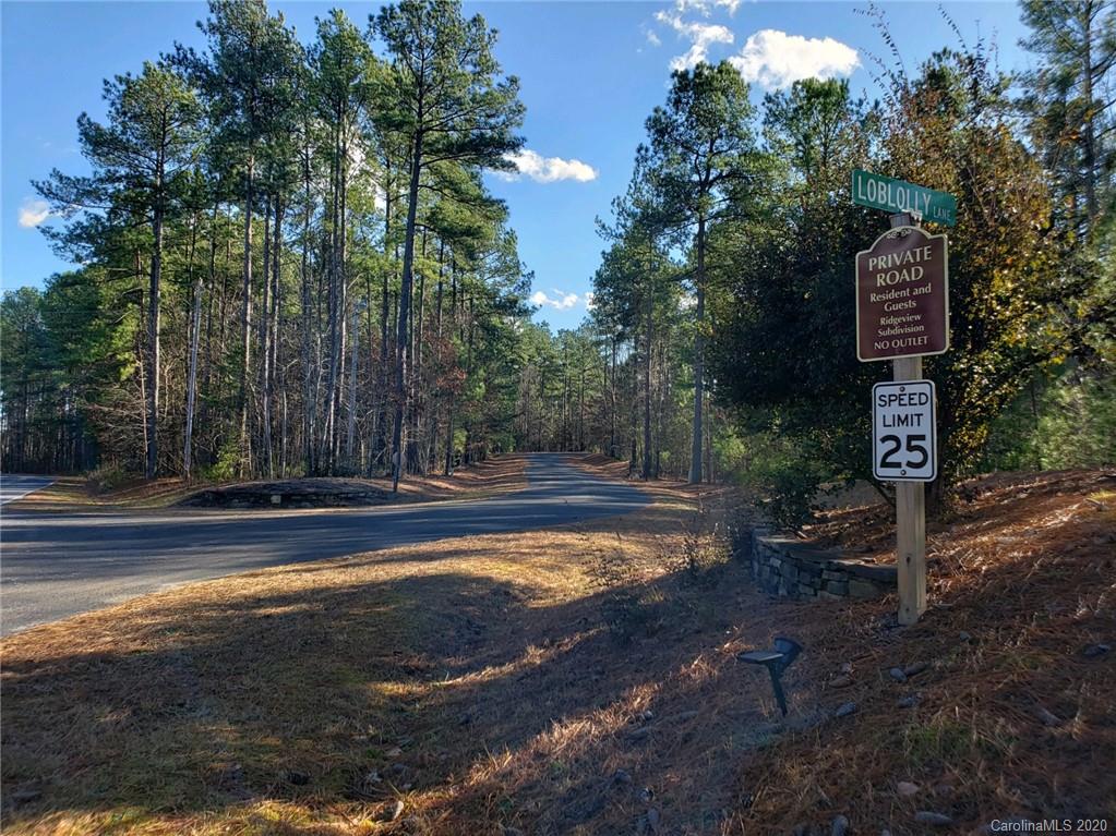 0 Loblolly Ln Mill Spring, Unit 22 Mill Spring, NC 28756 - Photo 2 of 14 a view of a swimming pool with trees in the background