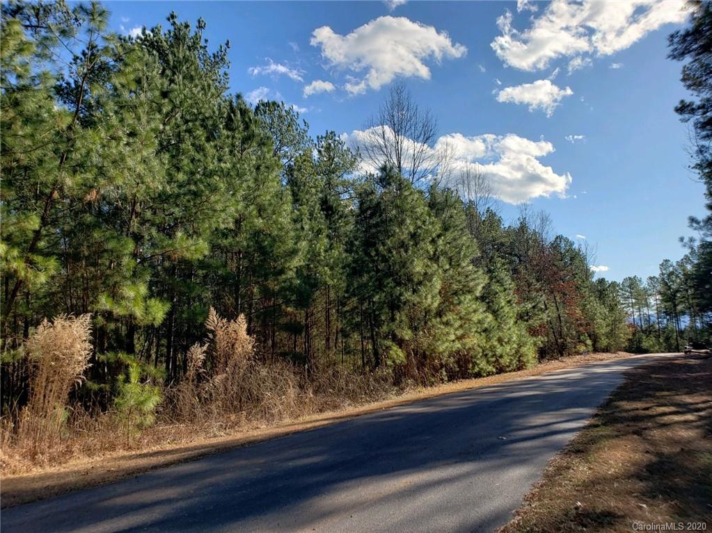 0 Loblolly Ln Mill Spring, Unit 22 Mill Spring, NC 28756 - Photo 11 of 14 a view of a yard of a house