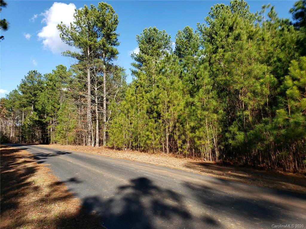 0 Loblolly Ln Mill Spring, Unit 22 Mill Spring, NC 28756 - Photo 12 of 14 a view of road and trees